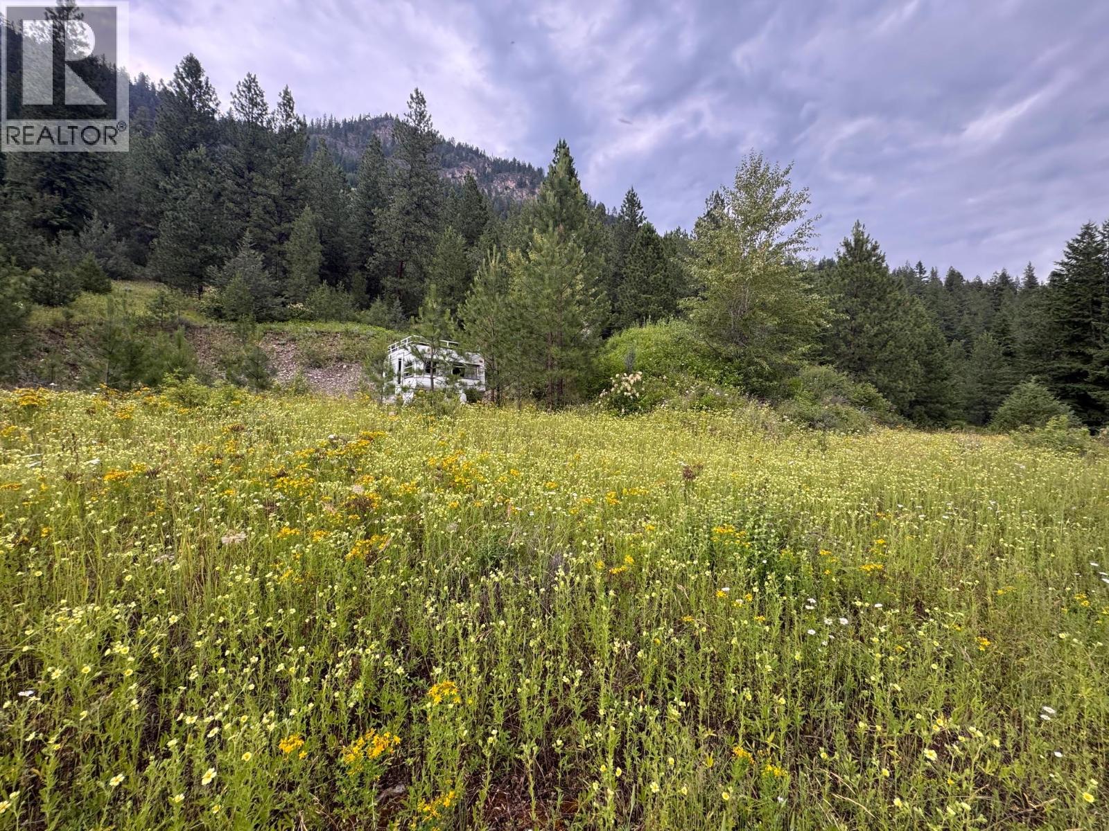 40 Acres Shuswap River Drive, Lumby, British Columbia  V0E 2G6 - Photo 5 - 10268876