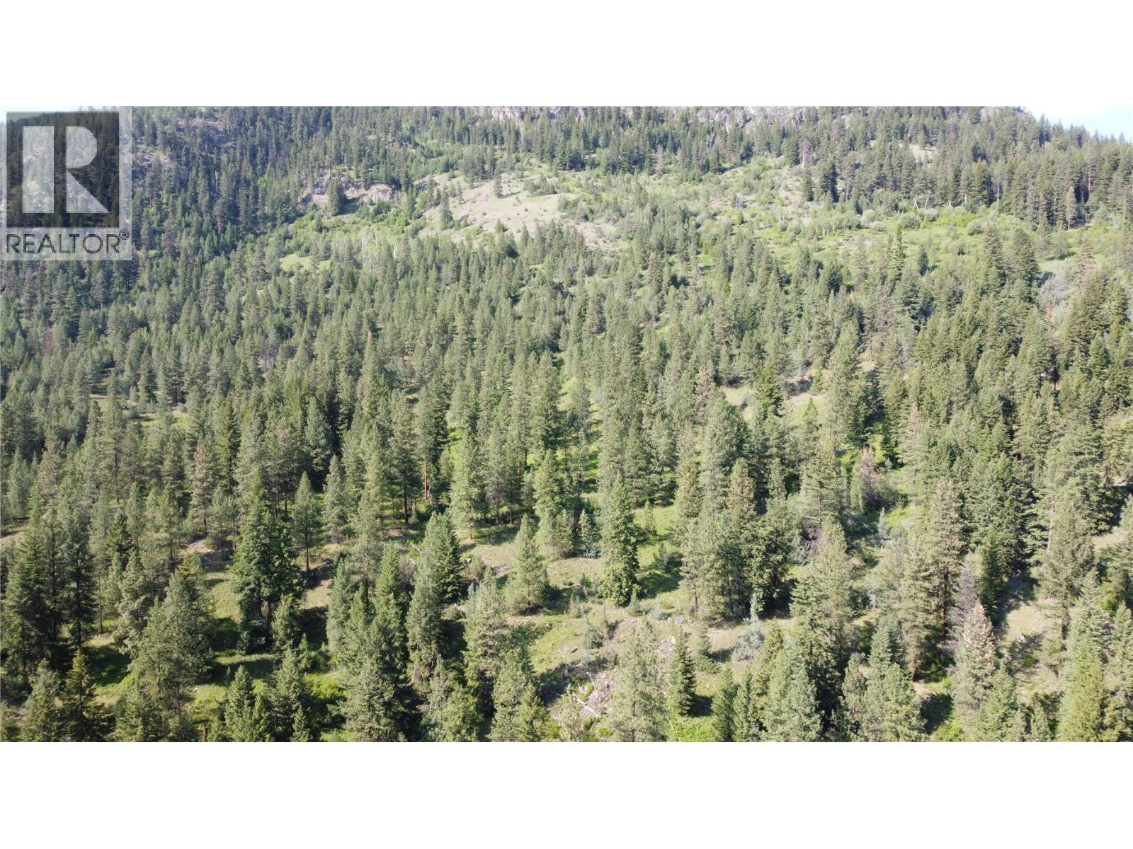 40 Acres Shuswap River Drive, Lumby, British Columbia  V0E 2G6 - Photo 28 - 10268876