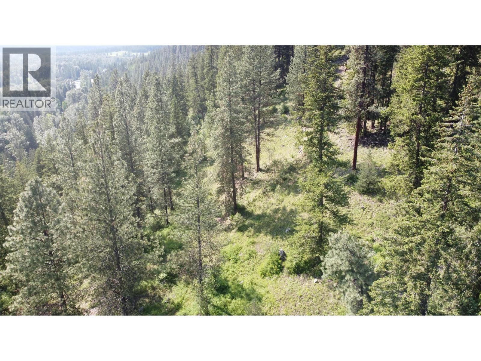 40 Acres Shuswap River Drive, Lumby, British Columbia  V0E 2G6 - Photo 15 - 10268876