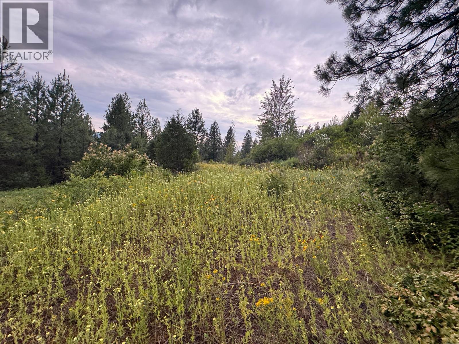 40 Acres Shuswap River Drive, Lumby, British Columbia  V0E 2G6 - Photo 9 - 10268876