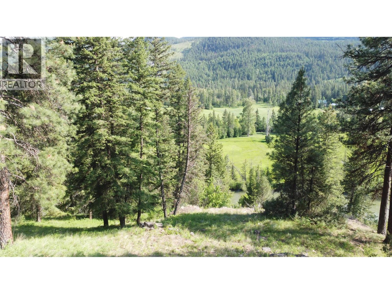 40 Acres Shuswap River Drive, Lumby, British Columbia  V0E 2G6 - Photo 4 - 10268876