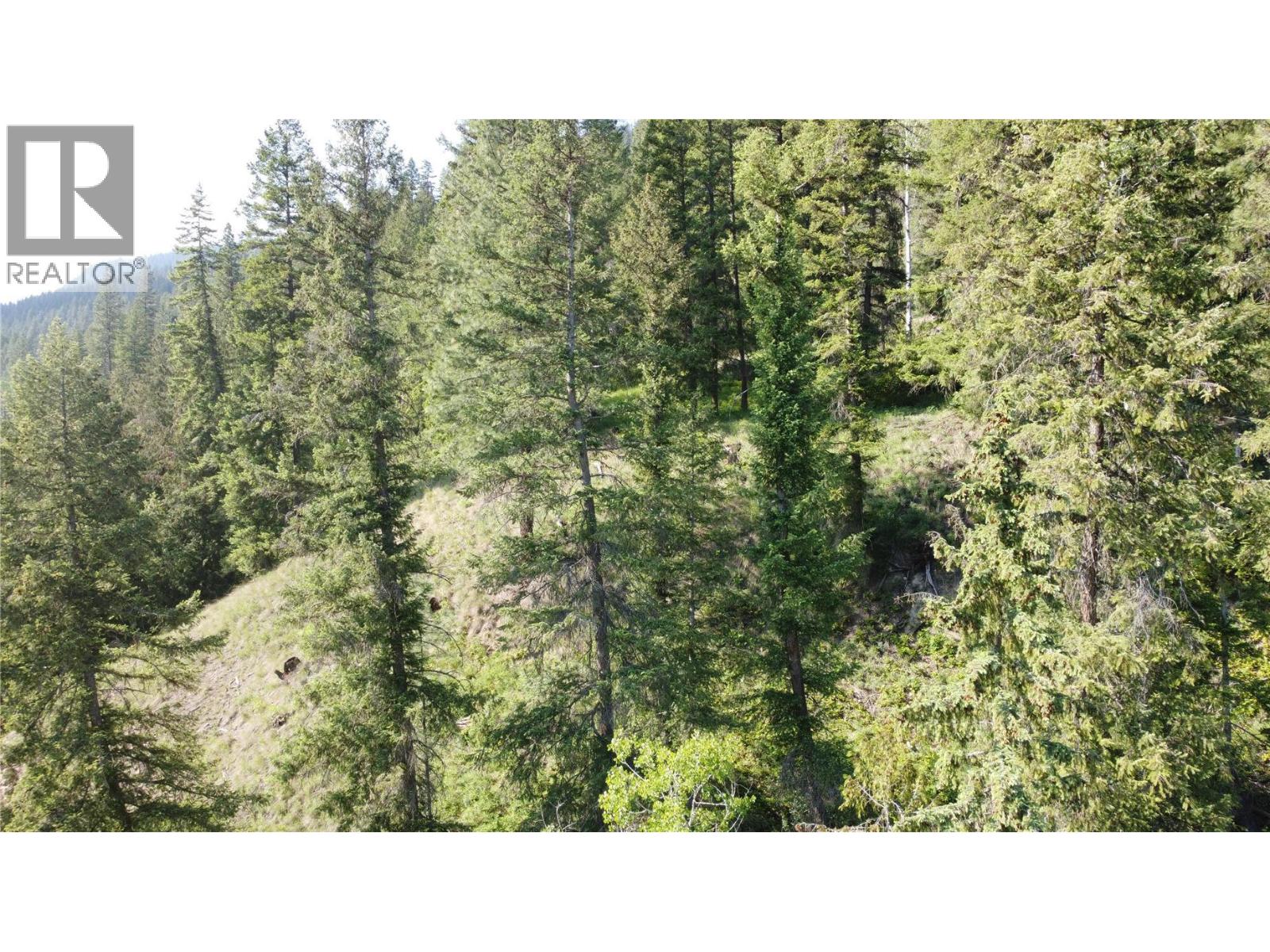 40 Acres Shuswap River Drive, Lumby, British Columbia  V0E 2G6 - Photo 27 - 10268876
