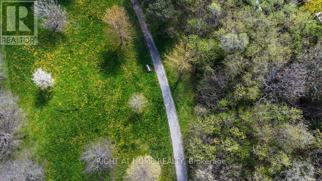 931 Willowdale Avenue, Toronto, Ontario  M2M 3C3 - Photo 32 - C13101402