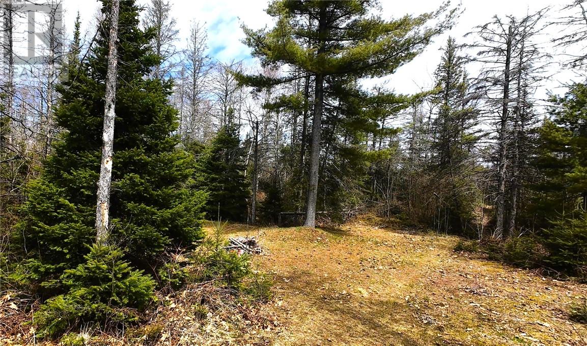 18 Mary Jane Street, Providence Bay, Ontario  P0P 1T0 - Photo 2 - 2126721