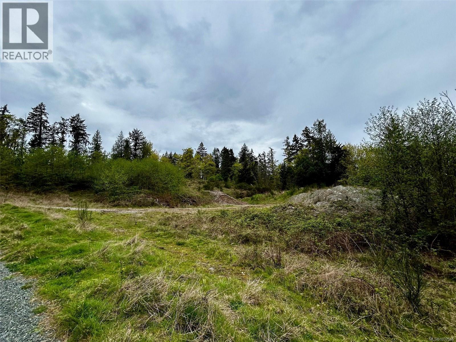 2950 Elm St, Chemainus, British Columbia  V0R 1K3 - Photo 19 - 1032946