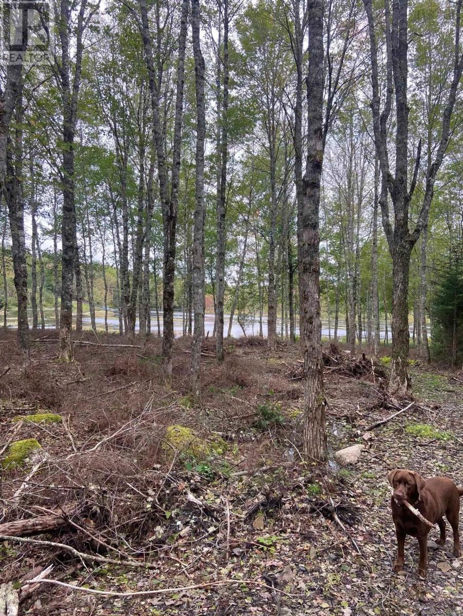 Lot 29 Salmon Run Road, Newburne, Nova Scotia  B0J 2E0 - Photo 20 - 202601897