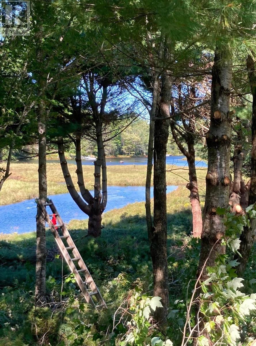 Lot 29 Salmon Run Road, Newburne, Nova Scotia  B0J 2E0 - Photo 2 - 202601897