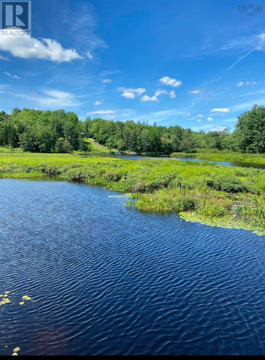 Lot 29 Salmon Run Road, Newburne, Nova Scotia  B0J 2E0 - Photo 4 - 202601897