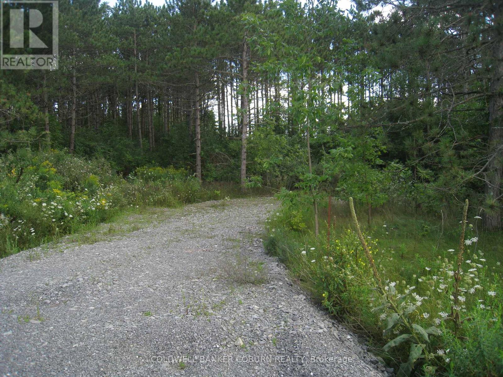 621 Highway 43 Highway, Montague, Ontario  K0G 1N0 - Photo 3 - X13113540