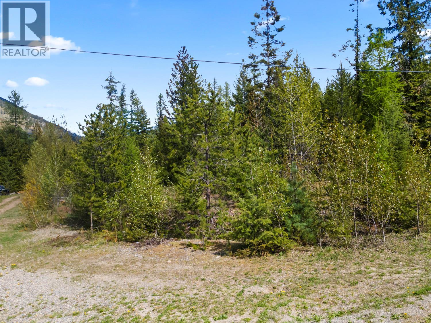 Lot 1 Herrick Road, Kitchener, British Columbia V0B 1W1 - Photo 10 - 10384944