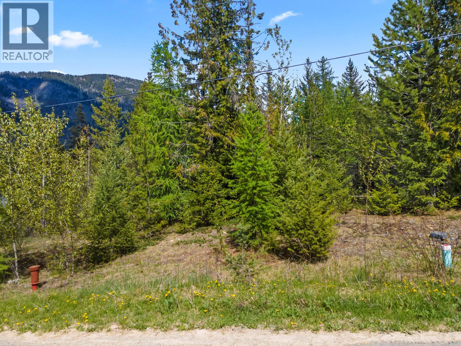 Lot 1 Herrick Road, Kitchener, British Columbia V0B 1W1 - Photo 11 - 10384944
