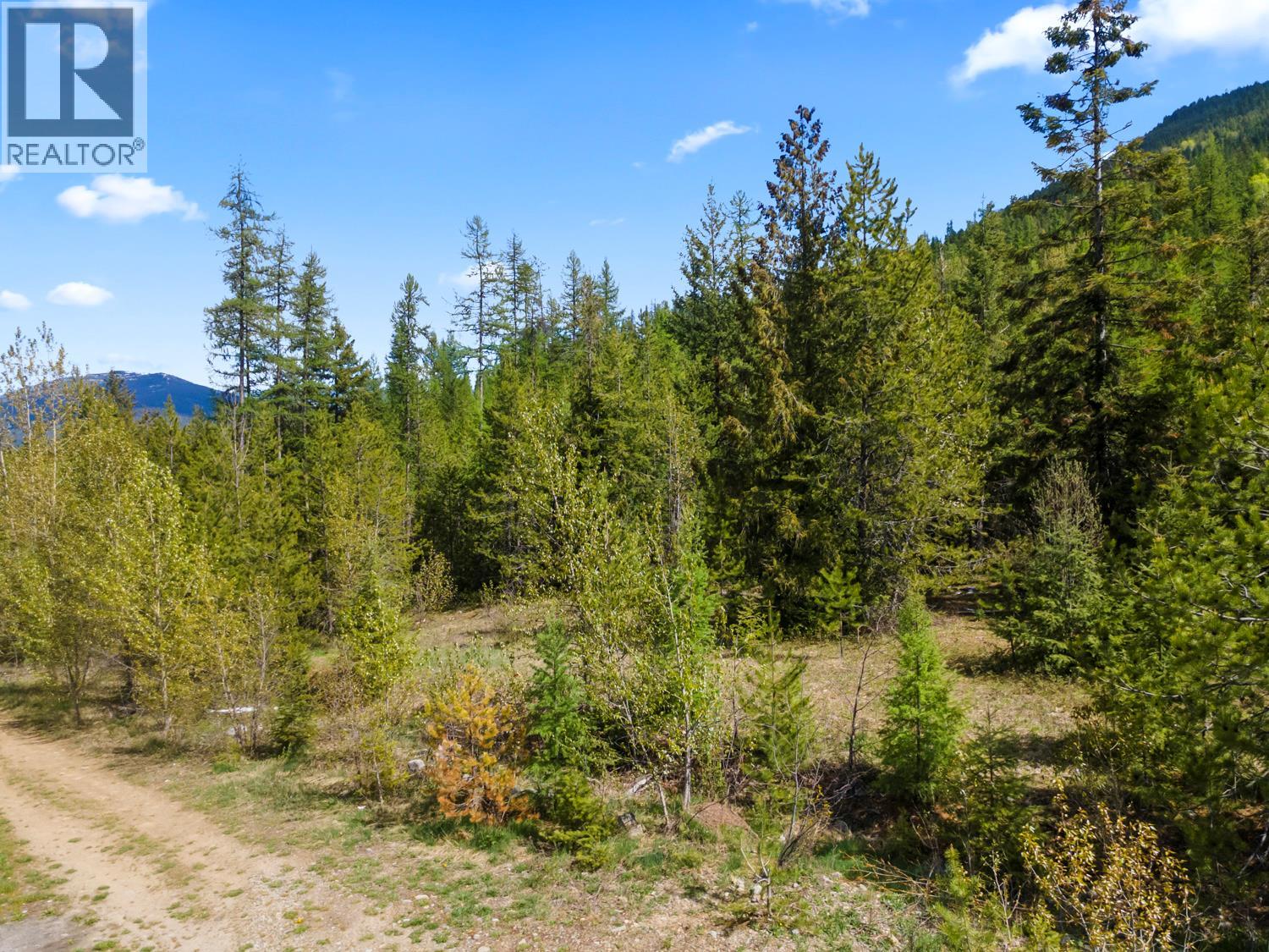 Lot 1 Herrick Road, Kitchener, British Columbia V0B 1W1 - Photo 3 - 10384944