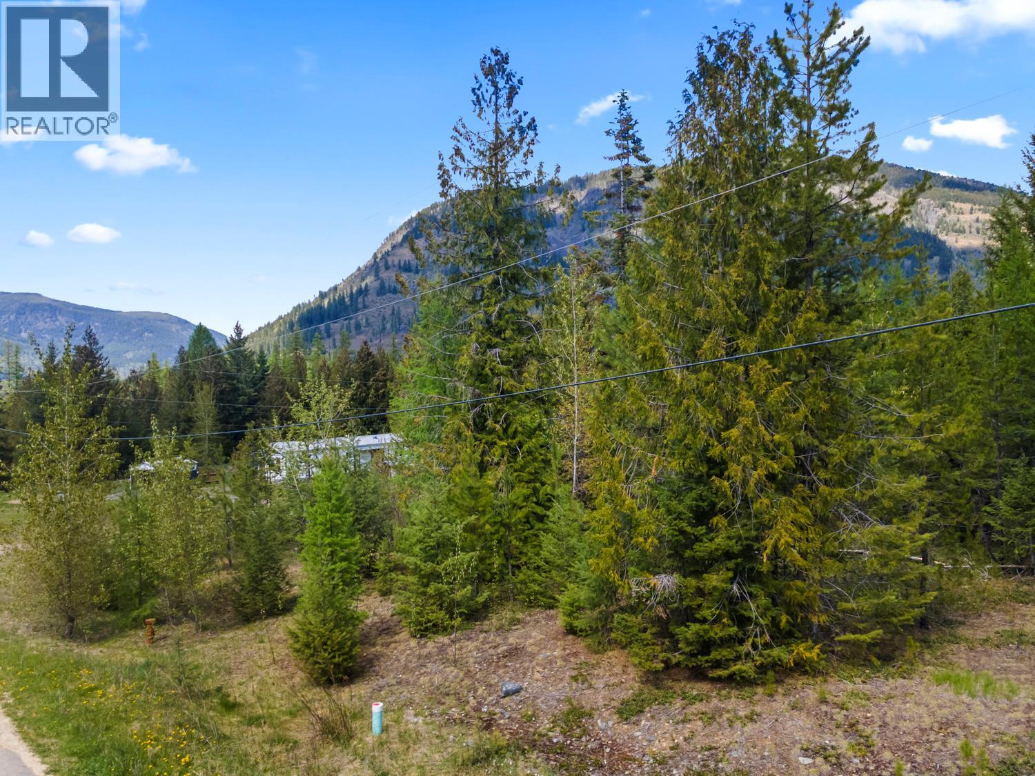 Lot 1 Herrick Road, Kitchener, British Columbia V0B 1W1 - Photo 6 - 10384944