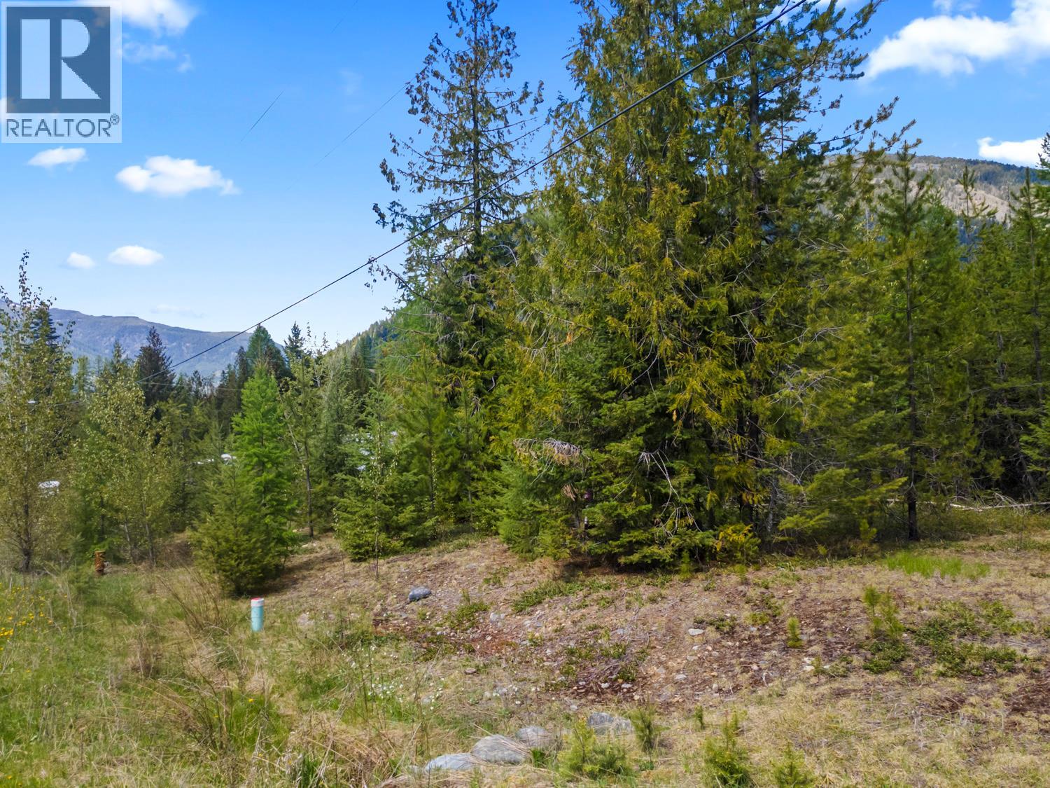 Lot 1 Herrick Road, Kitchener, British Columbia V0B 1W1 - Photo 9 - 10384944