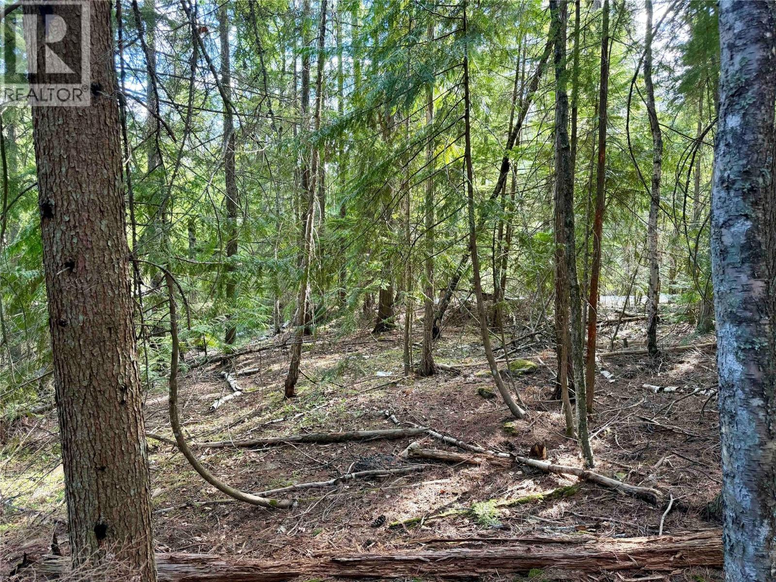 Lot C Kane Road, Nelson, British Columbia  V1L 6S9 - Photo 6 - 10386743