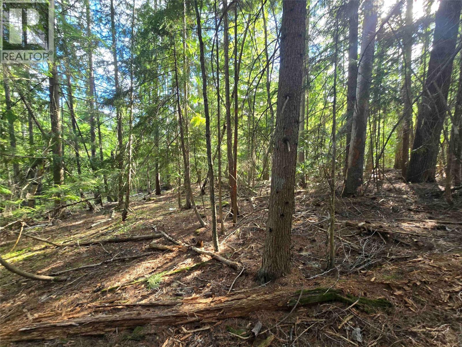 Lot C Kane Road, Nelson, British Columbia  V1L 6S9 - Photo 5 - 10386743