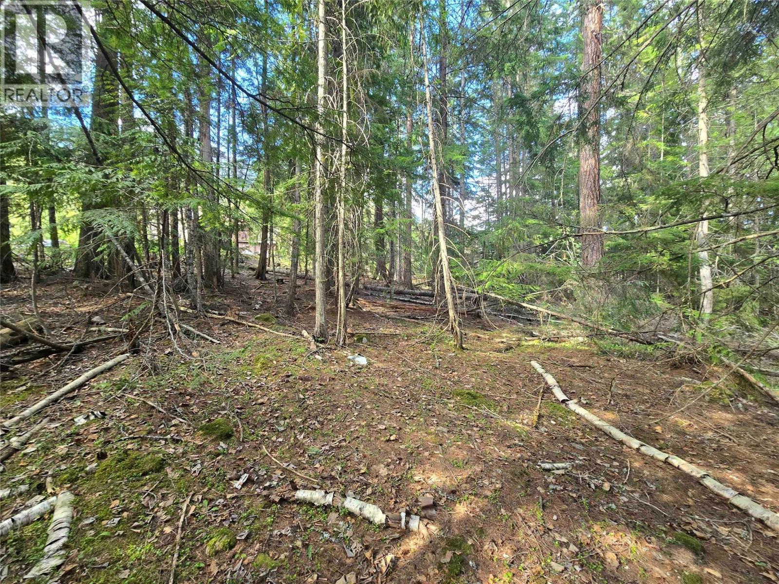 Lot C Kane Road, Nelson, British Columbia