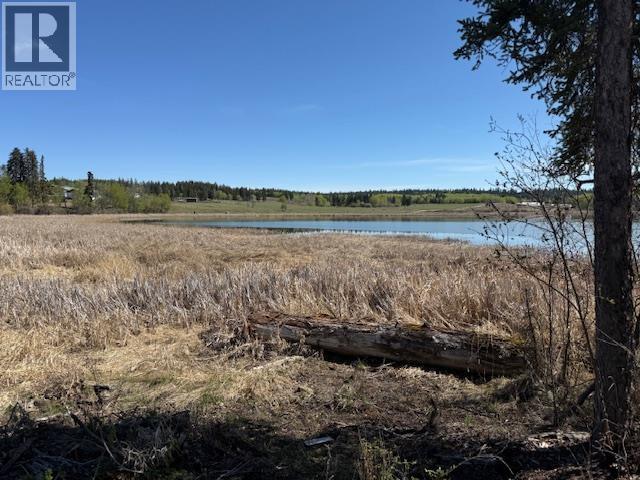 3194 Horsefly Road, 150 Mile House, British Columbia  V0K 2G0 - Photo 29 - R3120391