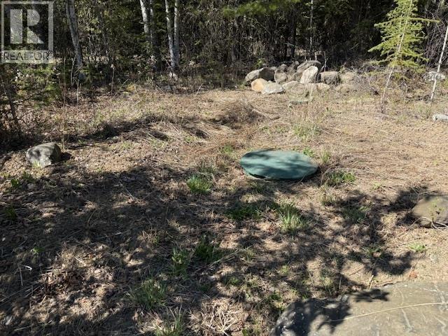 3194 Horsefly Road, 150 Mile House, British Columbia  V0K 2G0 - Photo 30 - R3120391