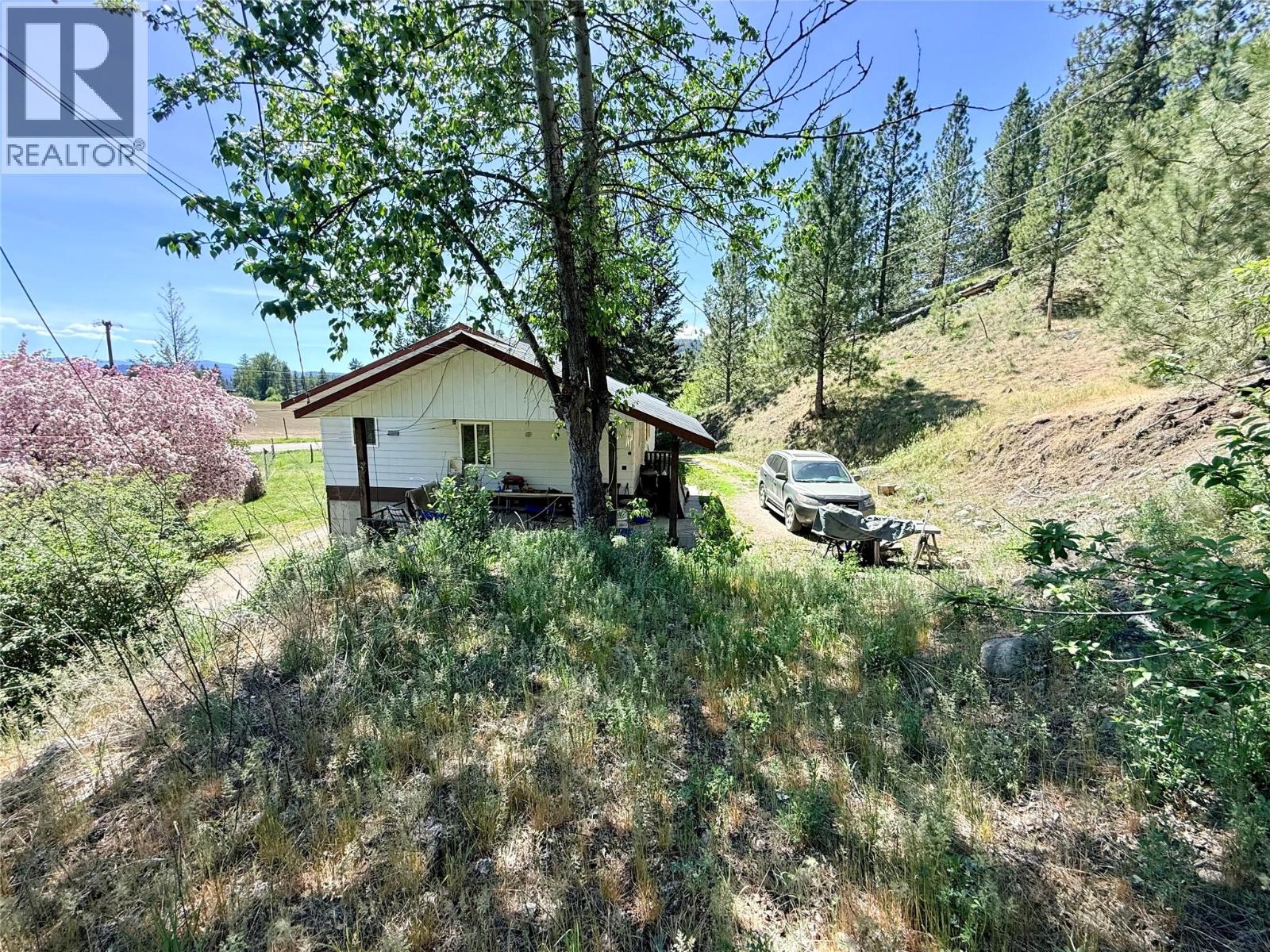 822 Belfort Road, Princeton, British Columbia  V0X 1W0 - Photo 9 - 10373432