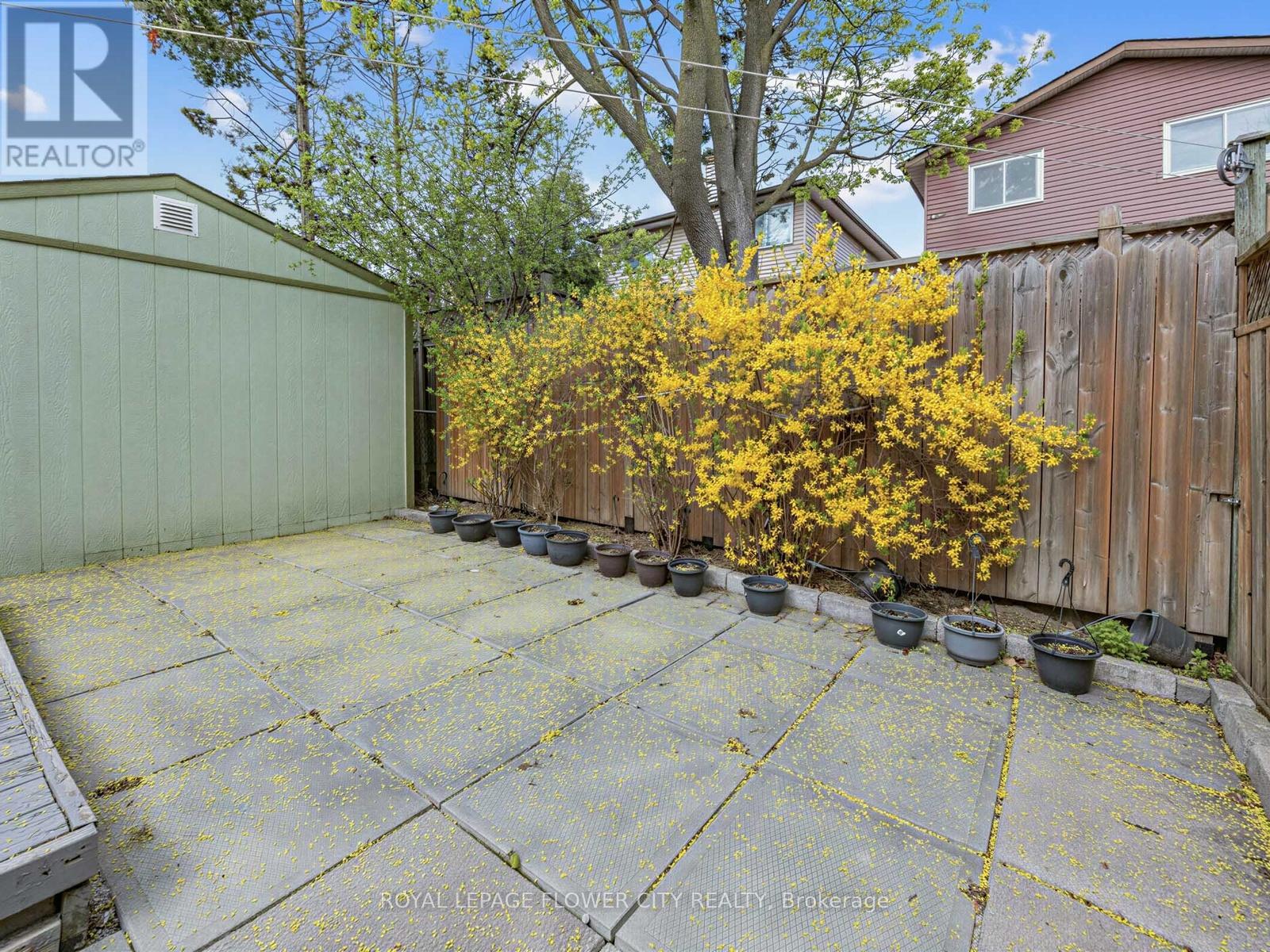 16 Blossom Avenue, Brampton, Ontario  L6X 2W3 - Photo 35 - W13087492