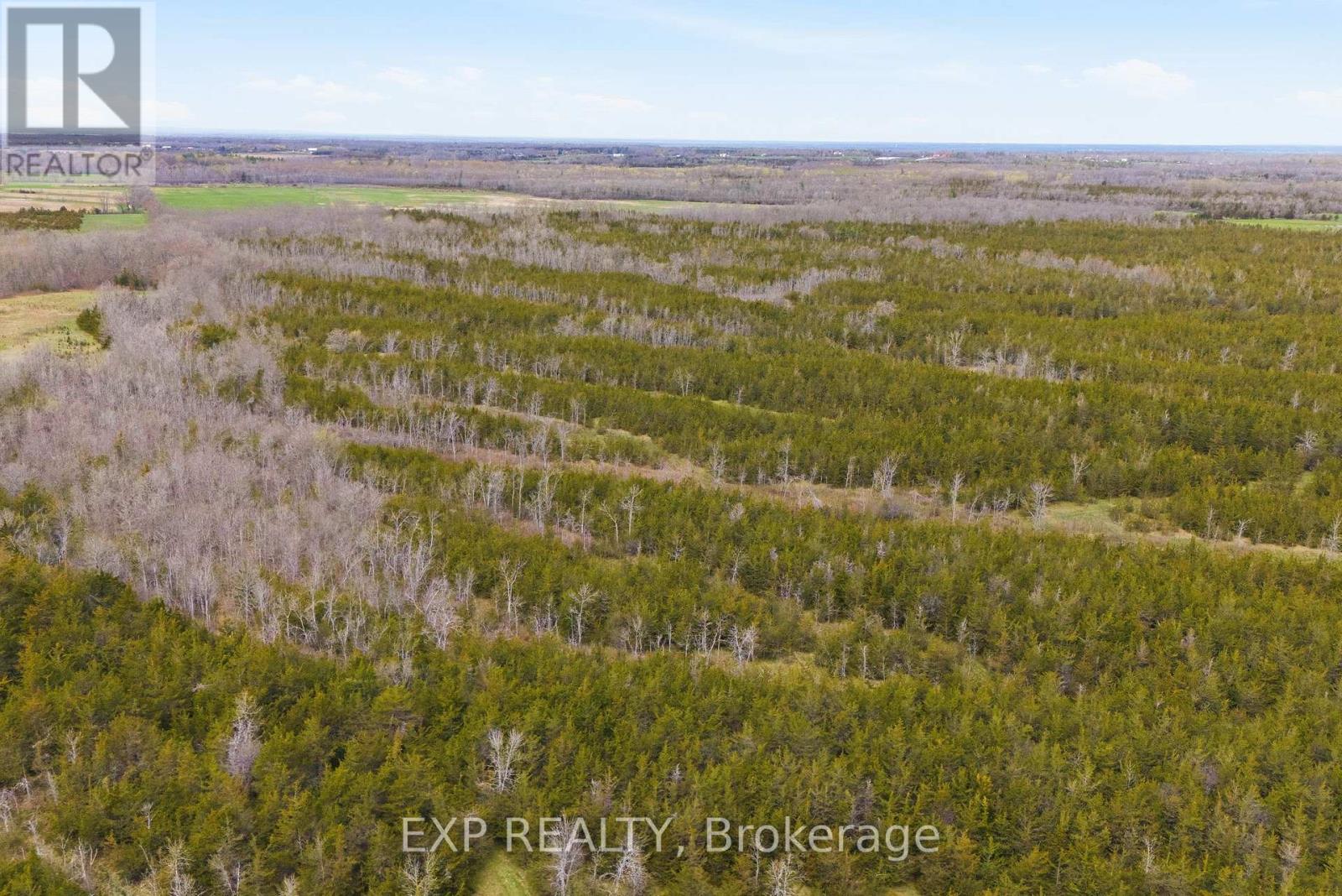 0 Highway 49 Highway W, Prince Edward County, Ontario  K0K 2T0 - Photo 11 - X13080878