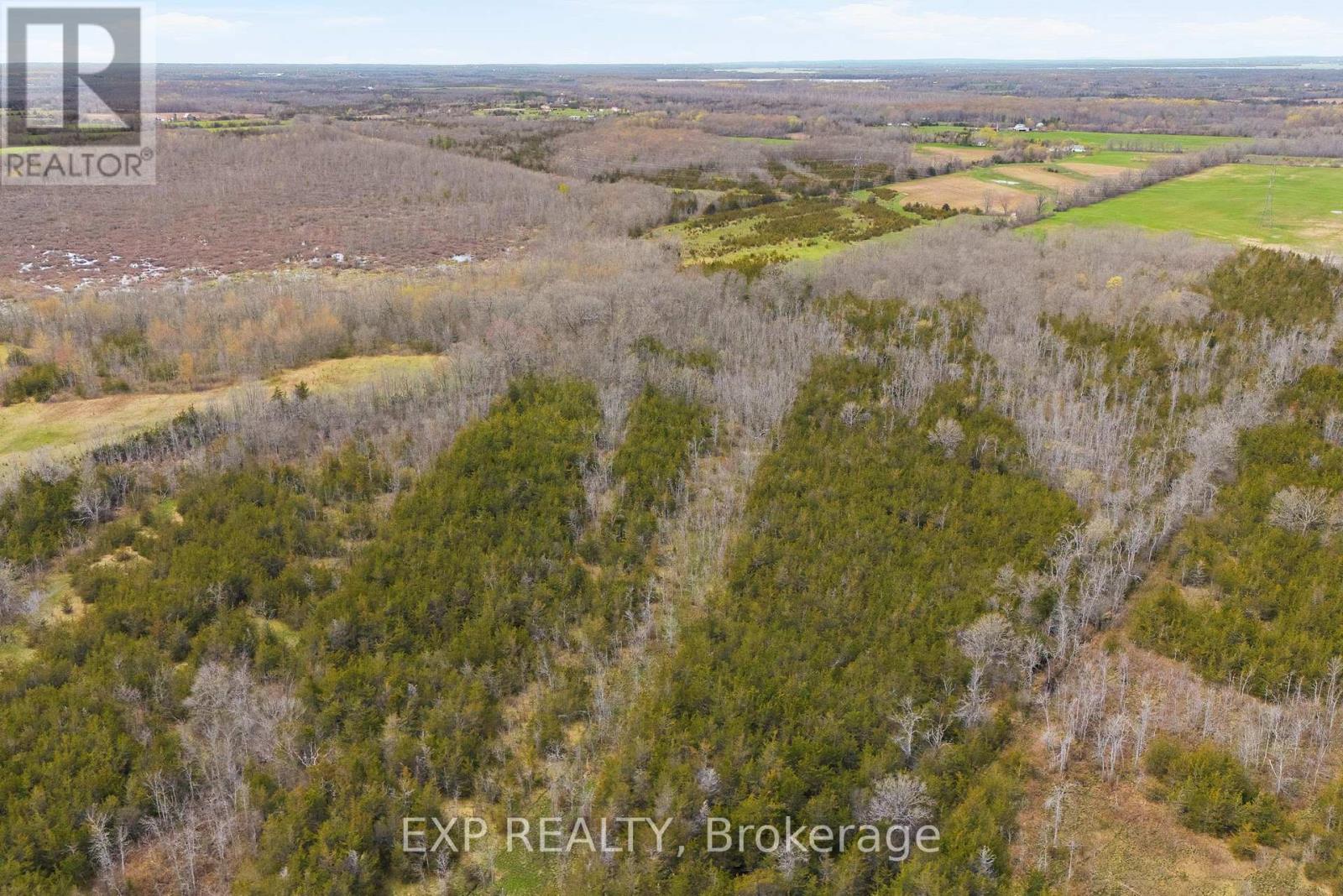 0 Highway 49 Highway W, Prince Edward County, Ontario  K0K 2T0 - Photo 7 - X13080878