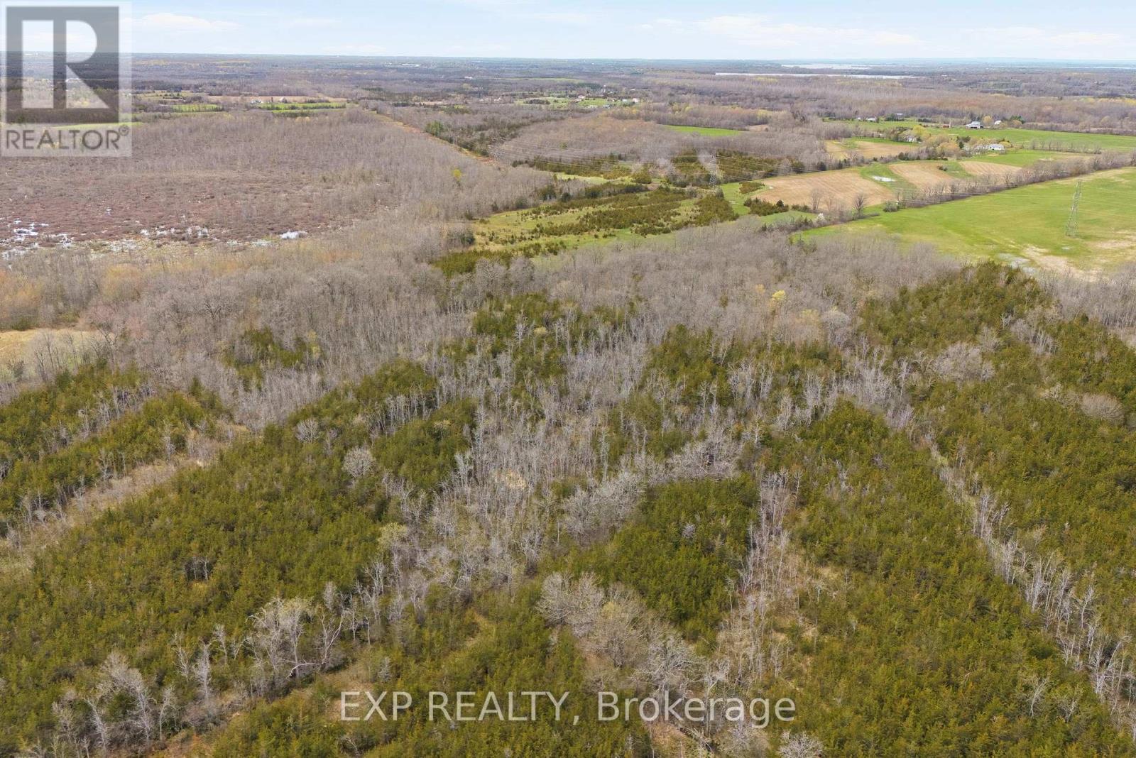 0 Highway 49 Highway W, Prince Edward County, Ontario  K0K 2T0 - Photo 6 - X13080878