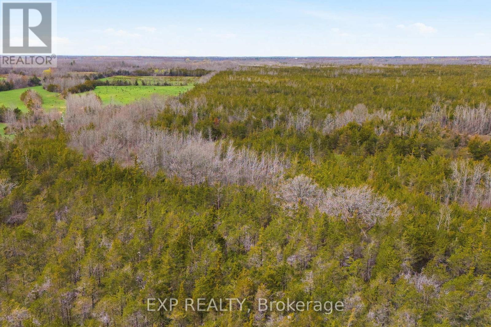 0 Highway 49 Highway W, Prince Edward County, Ontario  K0K 2T0 - Photo 16 - X13080878