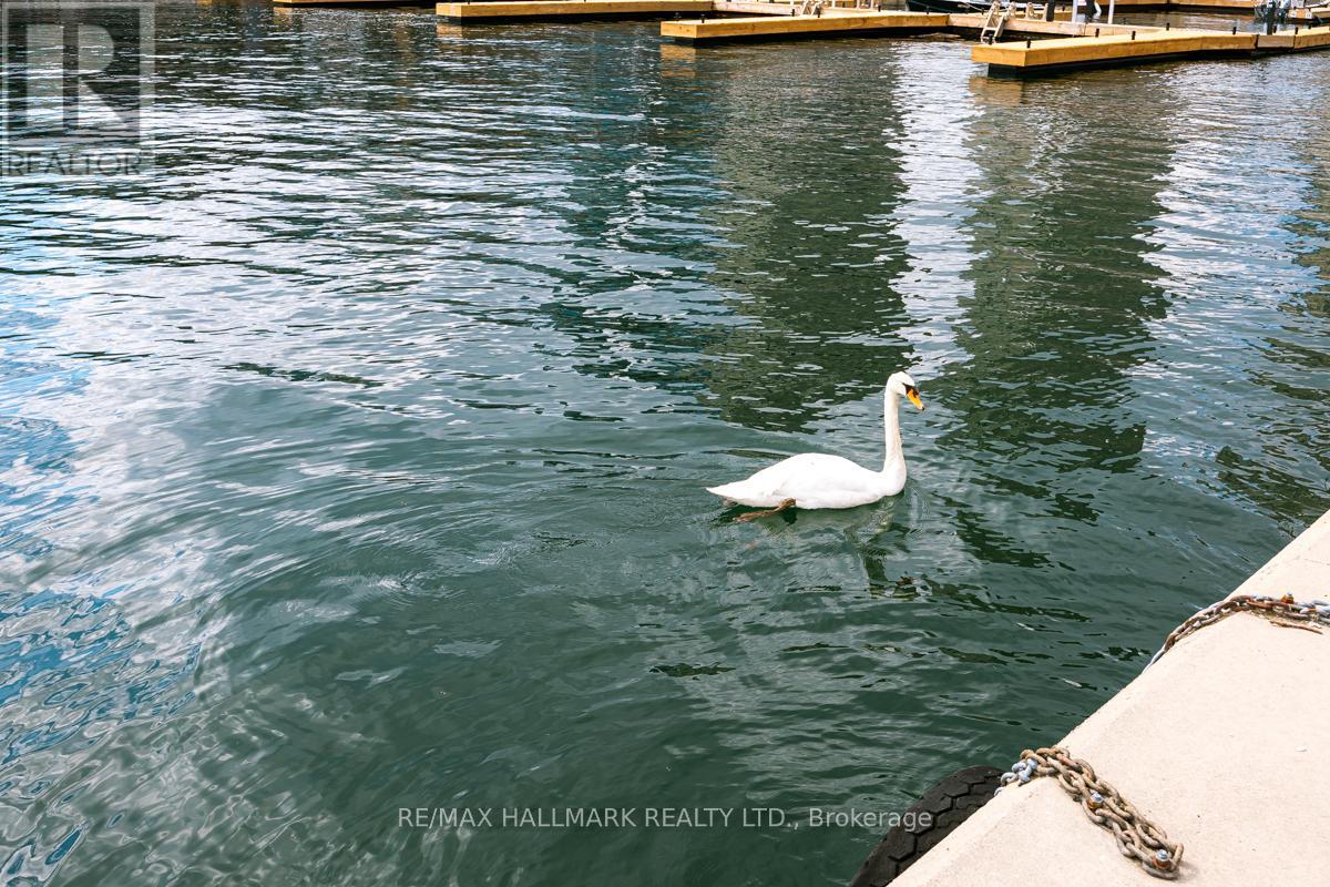 2707 - 228 Queens Quay W, Toronto, Ontario  M5J 2X1 - Photo 33 - C13113796