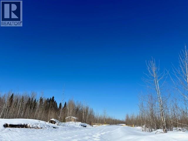 Mile 294 & 295 Alaska Highway, Fort Nelson, British Columbia V0C 1R0 - Photo 24 - C8077884