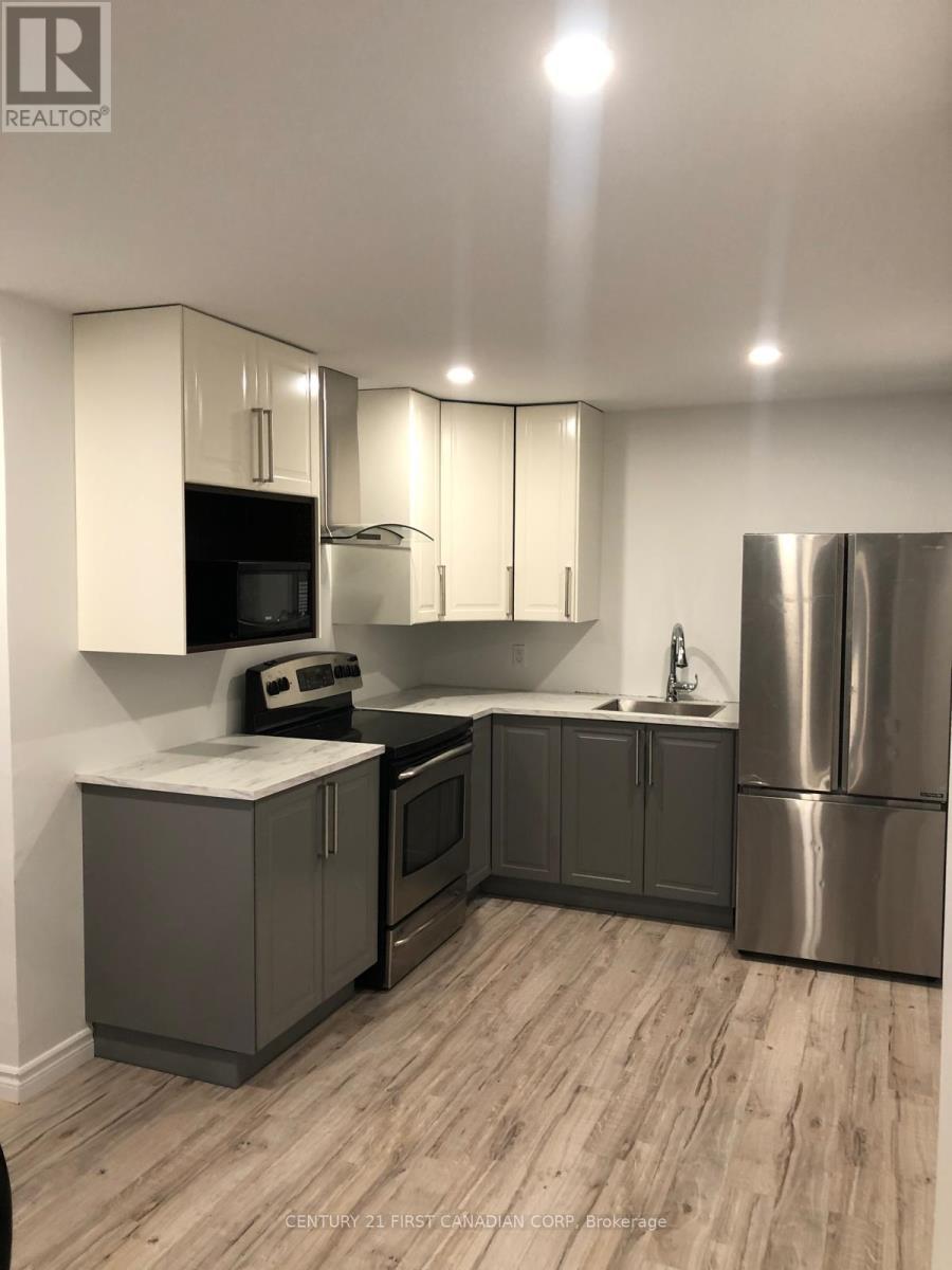 Lower - 257 Hungerford Street, London East, Ontario  N5W 6E2 - Photo 2 - X13114000