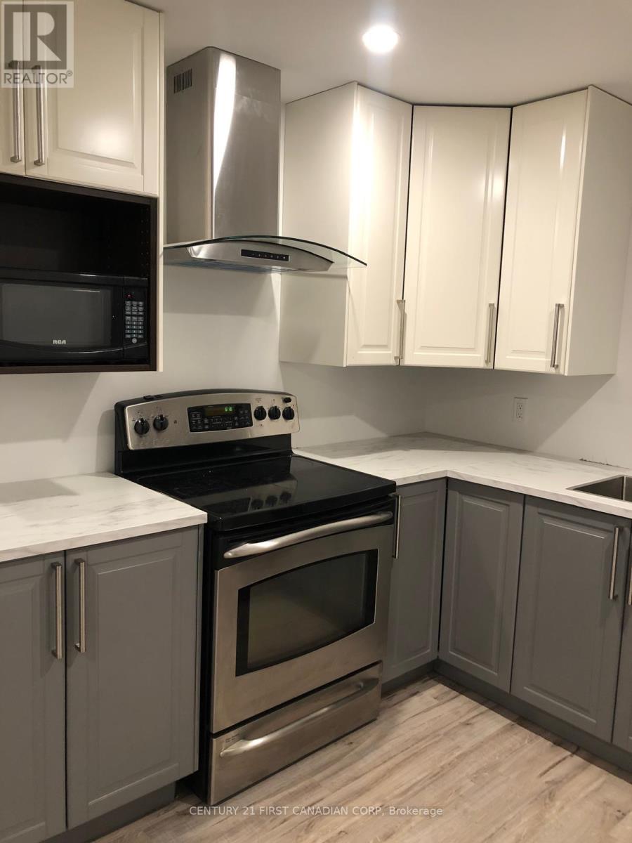 Lower - 257 Hungerford Street, London East, Ontario  N5W 6E2 - Photo 4 - X13114000