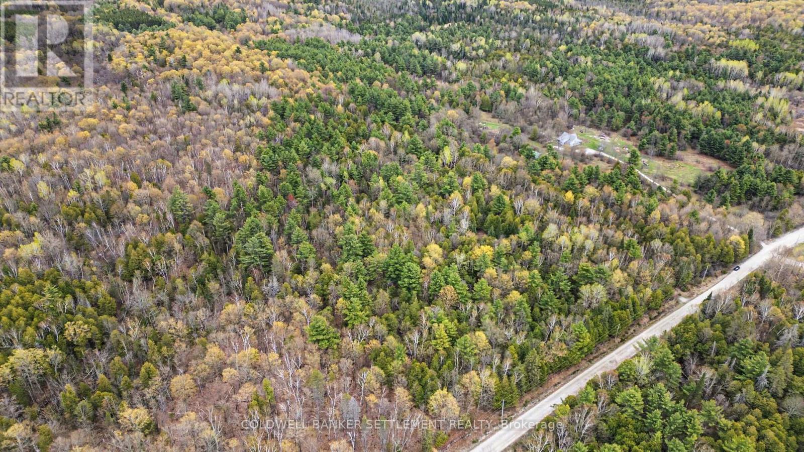 1008 Dalhousie 6a Concession, Lanark Highlands, Ontario  K0G 1K0 - Photo 15 - X13095146