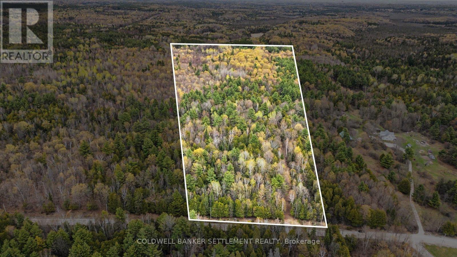 1008 Dalhousie 6a Concession, Lanark Highlands, Ontario  K0G 1K0 - Photo 7 - X13095146