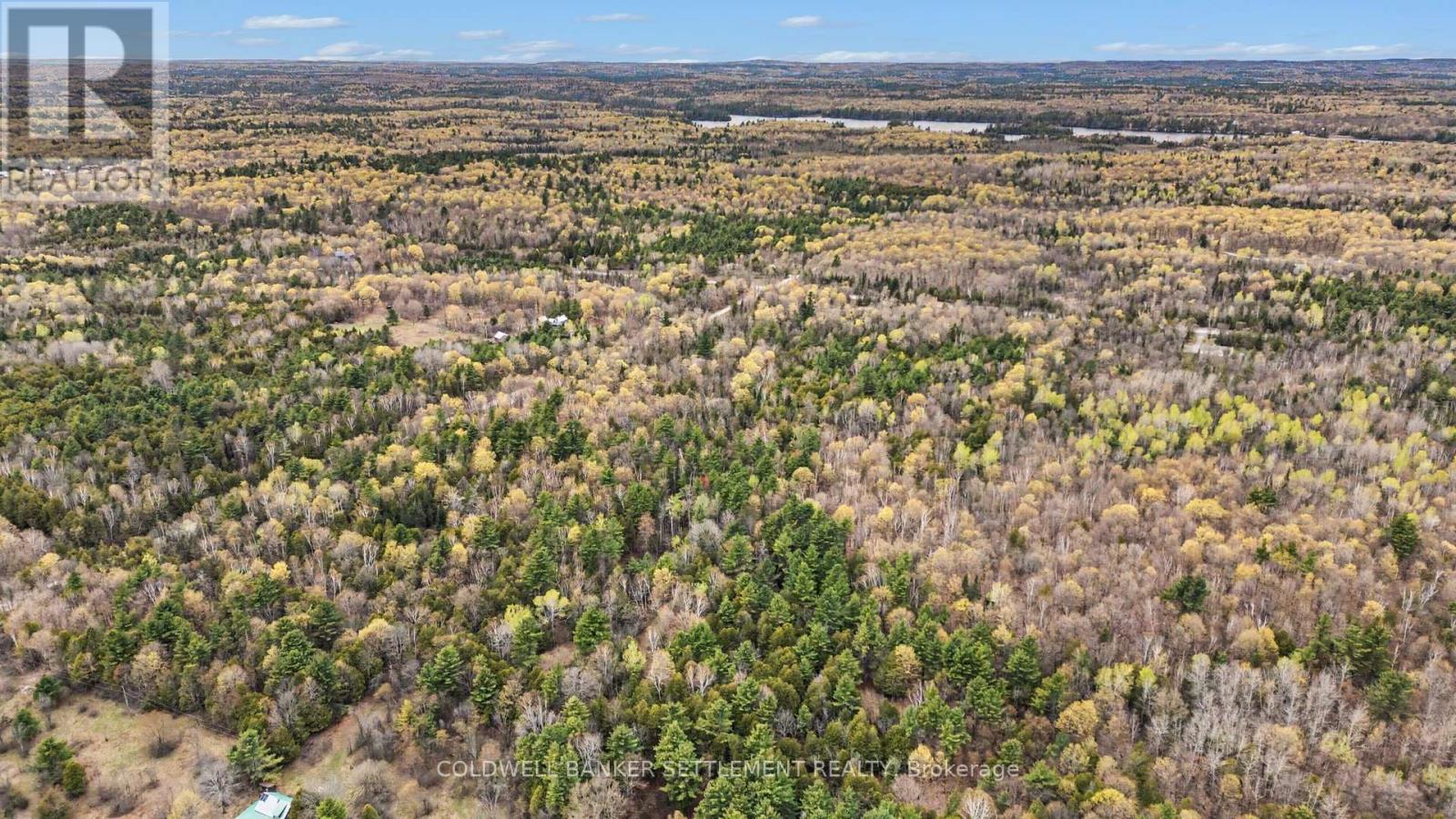 1008 Dalhousie 6a Concession, Lanark Highlands, Ontario  K0G 1K0 - Photo 12 - X13095146