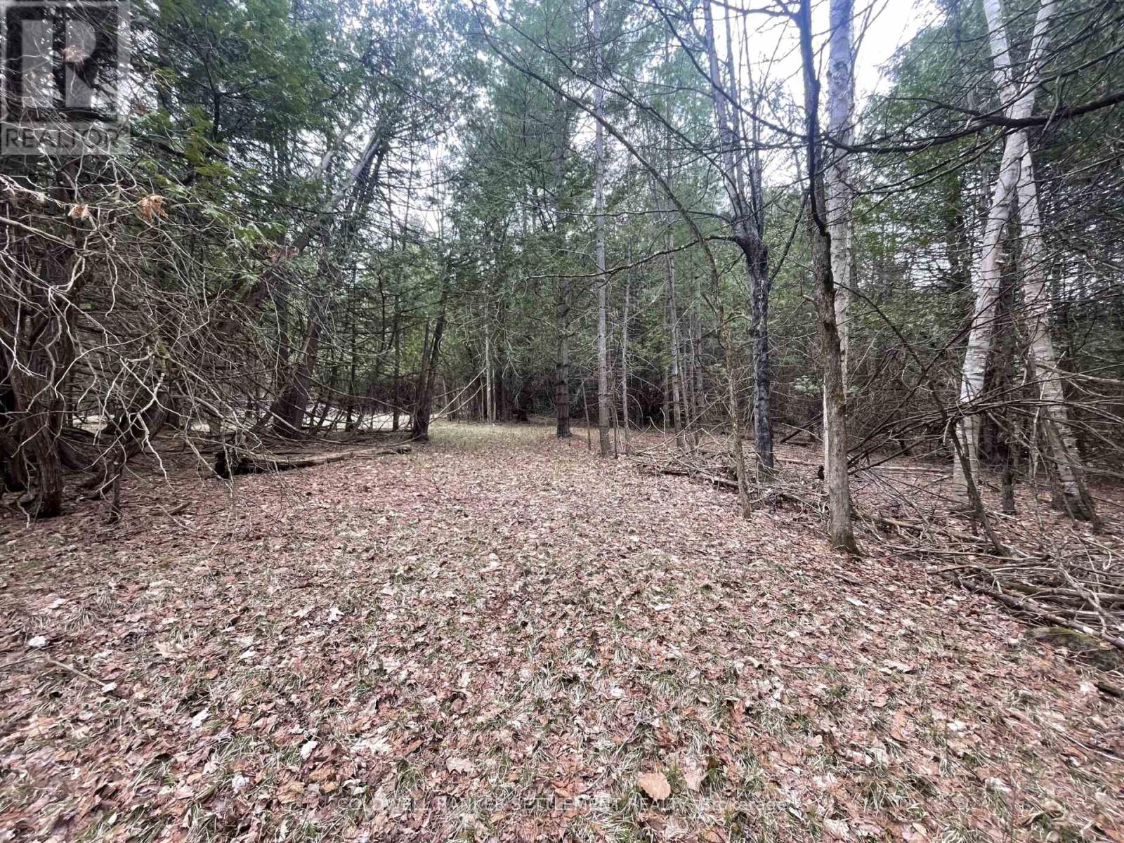 1008 Dalhousie 6a Concession, Lanark Highlands, Ontario  K0G 1K0 - Photo 21 - X13095146