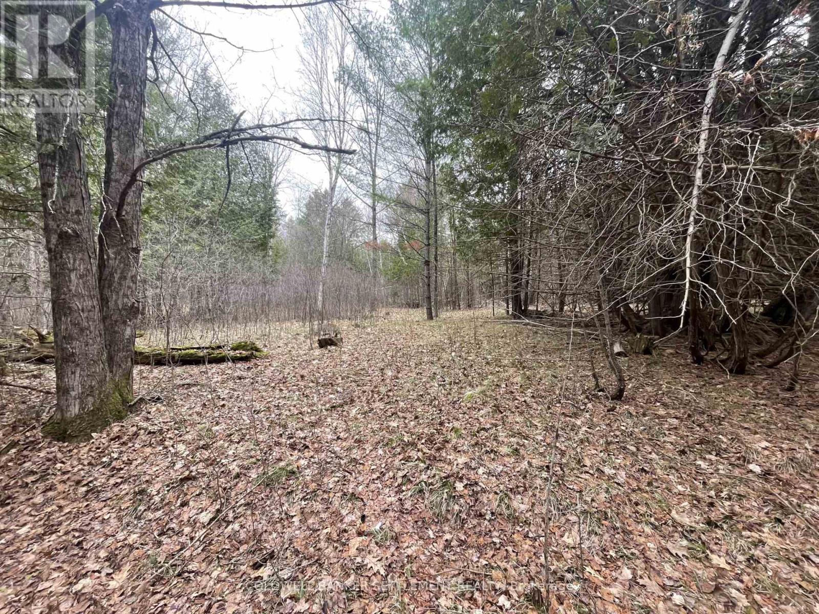 1008 Dalhousie 6a Concession, Lanark Highlands, Ontario  K0G 1K0 - Photo 19 - X13095146