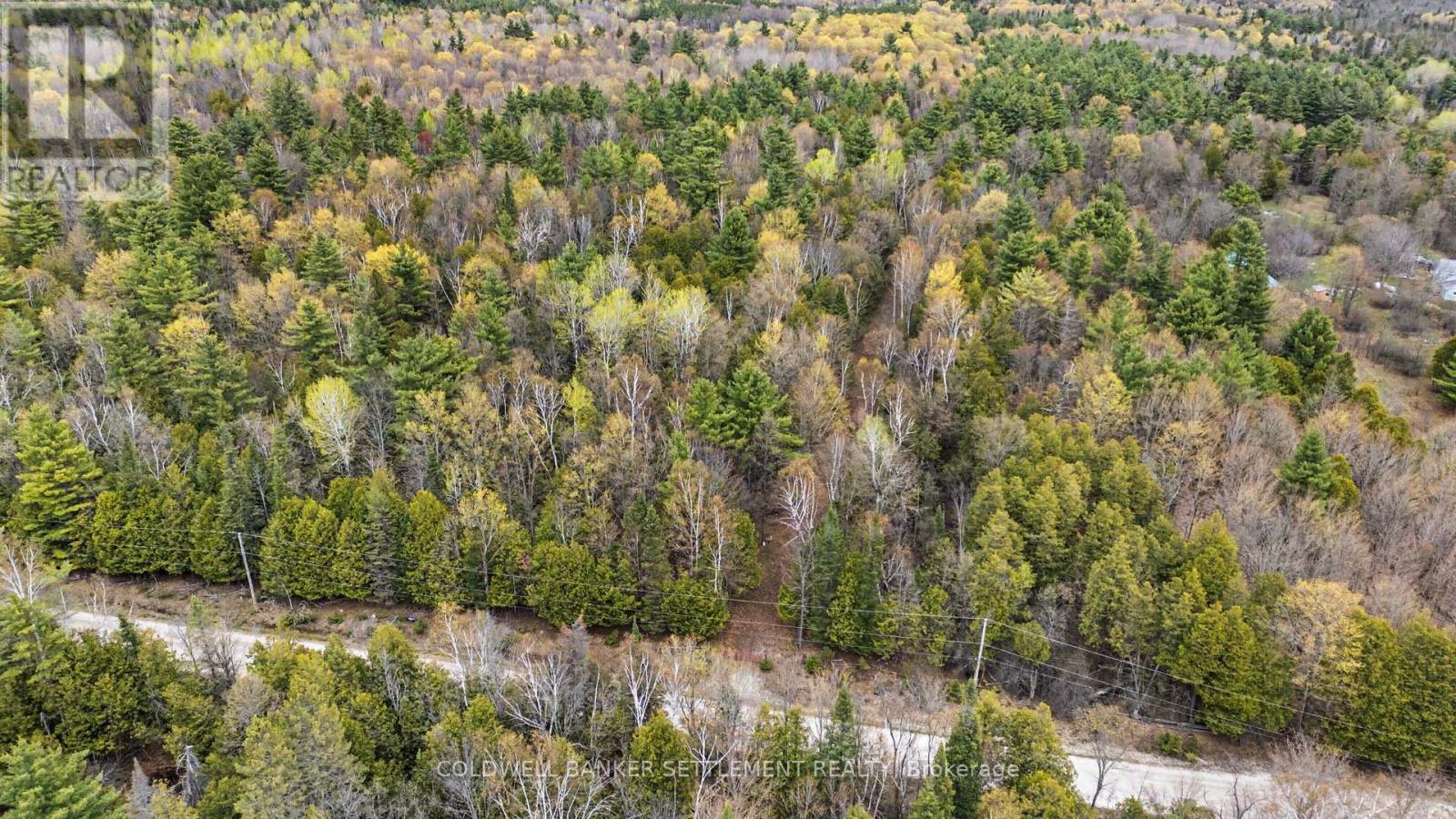 1008 Dalhousie 6a Concession, Lanark Highlands, Ontario  K0G 1K0 - Photo 9 - X13095146