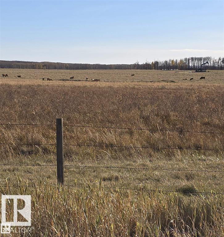 465051 Rge Road 41, Rural Wetaskiwin County, Alberta  T0C 2X0 - Photo 22 - E4477760