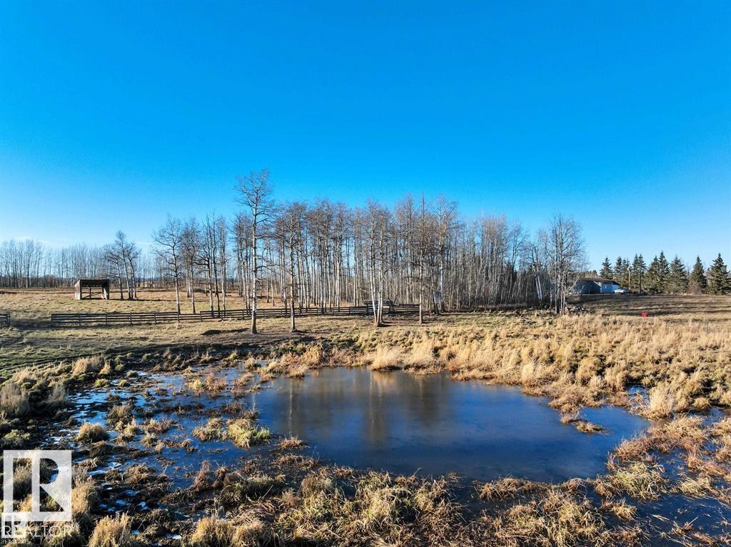 465051 Rge Road 41, Rural Wetaskiwin County, Alberta  T0C 2X0 - Photo 31 - E4477760