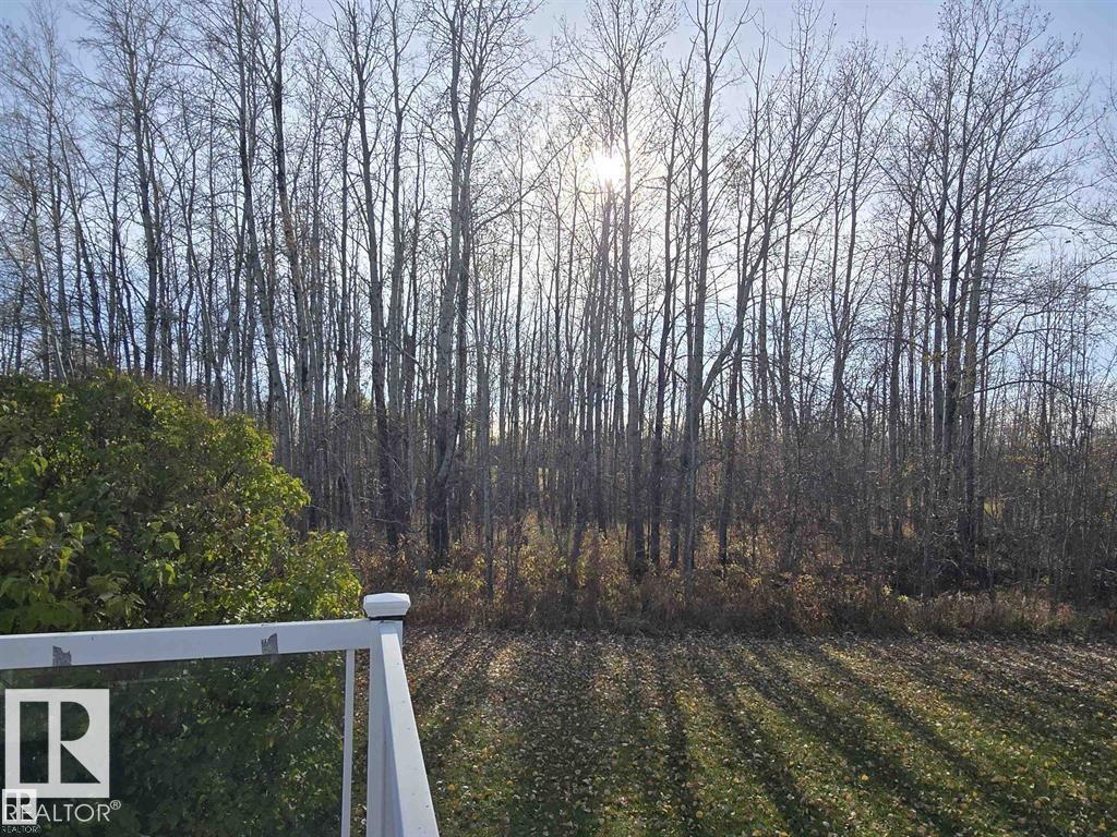 465051 Rge Road 41, Rural Wetaskiwin County, Alberta  T0C 2X0 - Photo 12 - E4477760