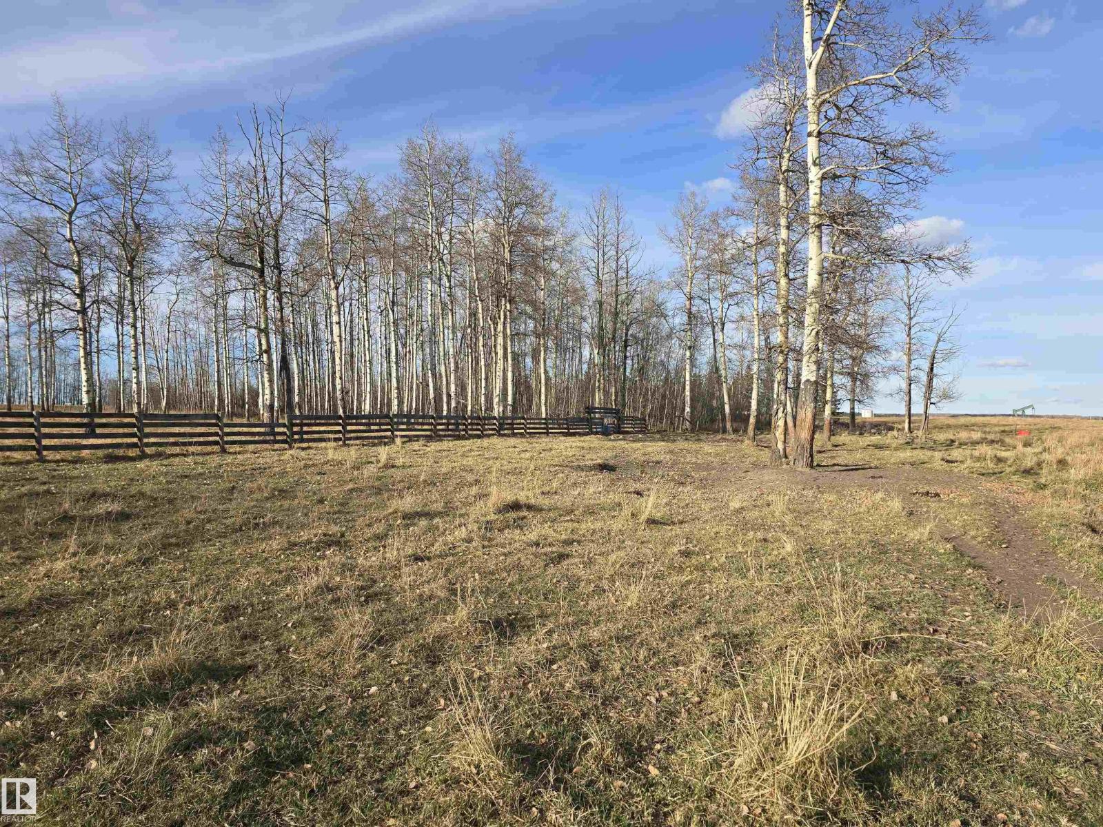 465051 Rge Road 41, Rural Wetaskiwin County, Alberta  T0C 2X0 - Photo 16 - E4477760