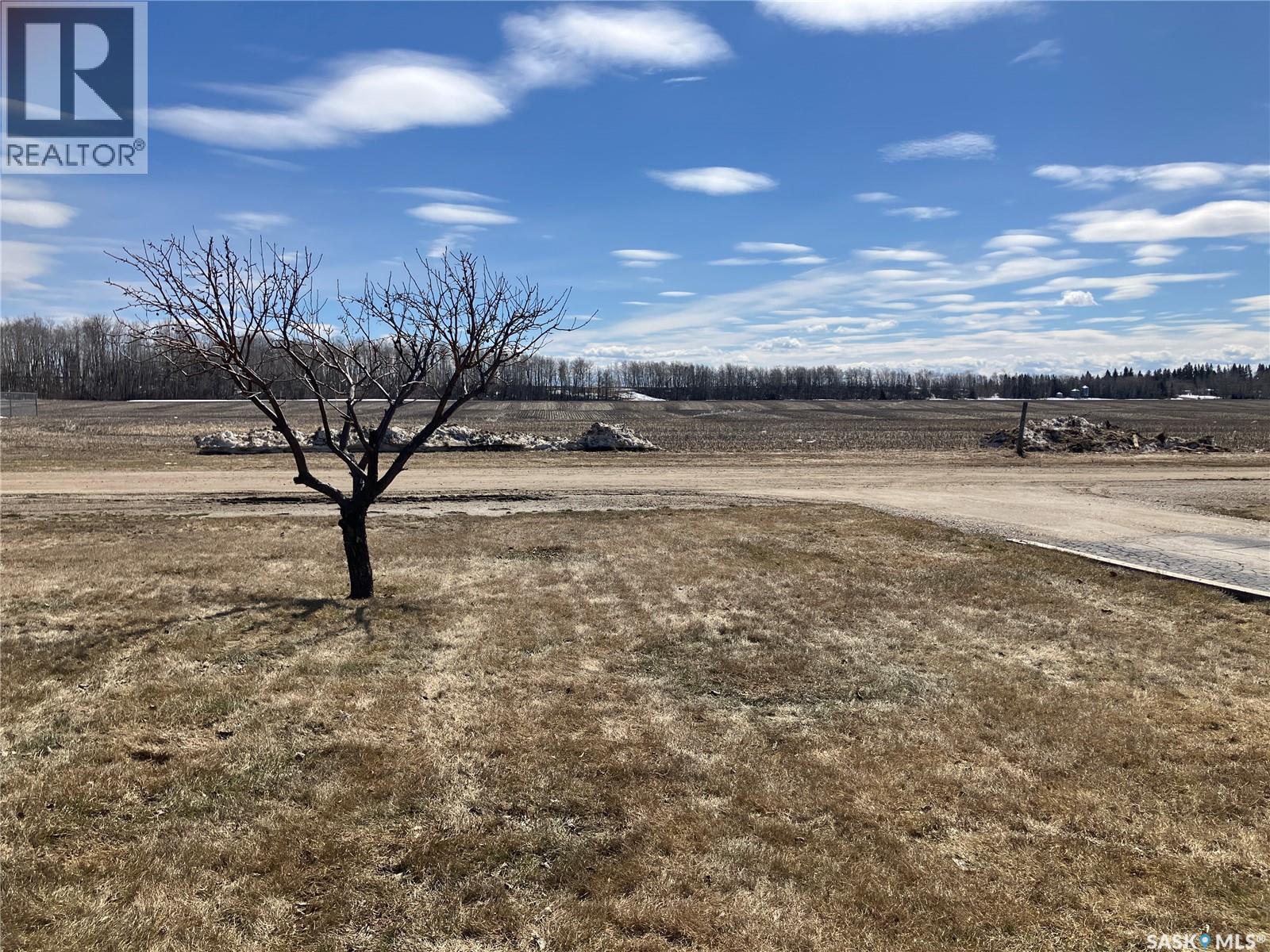 1216 2a Street W, Nipawin, Saskatchewan  S0E 1E0 - Photo 40 - SK032207