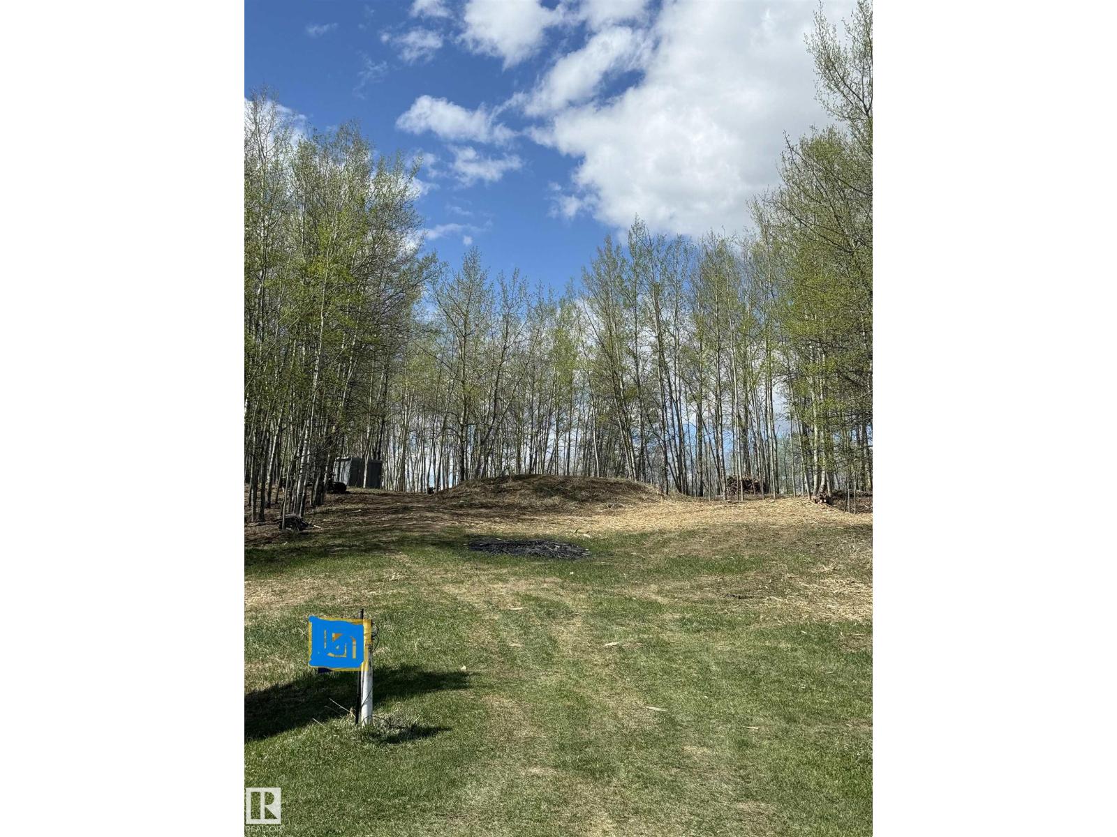#14 53319 Rge Road 14, Rural Parkland County, Alberta  T7Y 0C2 - Photo 9 - E4487076