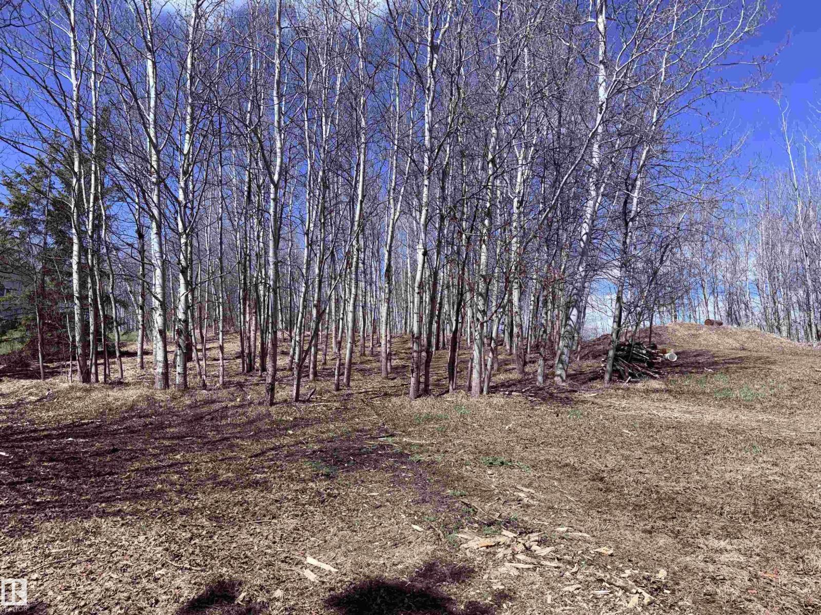 #14 53319 Rge Road 14, Rural Parkland County, Alberta  T7Y 0C2 - Photo 5 - E4487076
