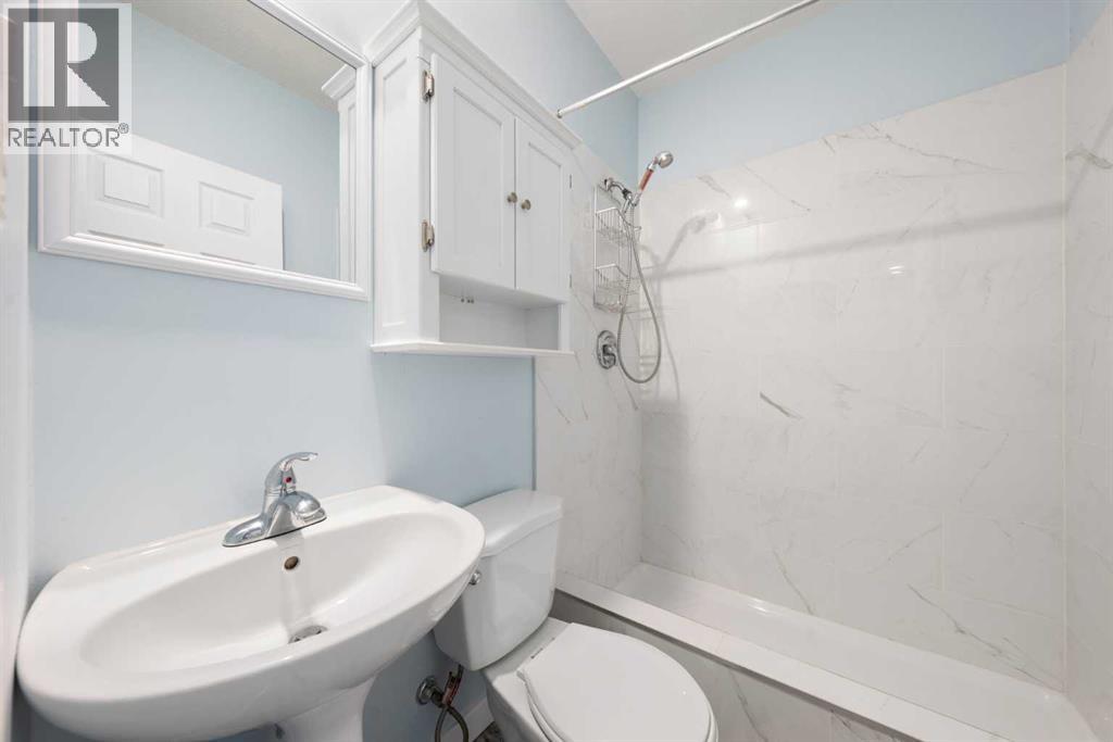 529 Saddlelake Drive Ne, Calgary, Alberta  T3J 0R8 - Photo 38 - A2300445