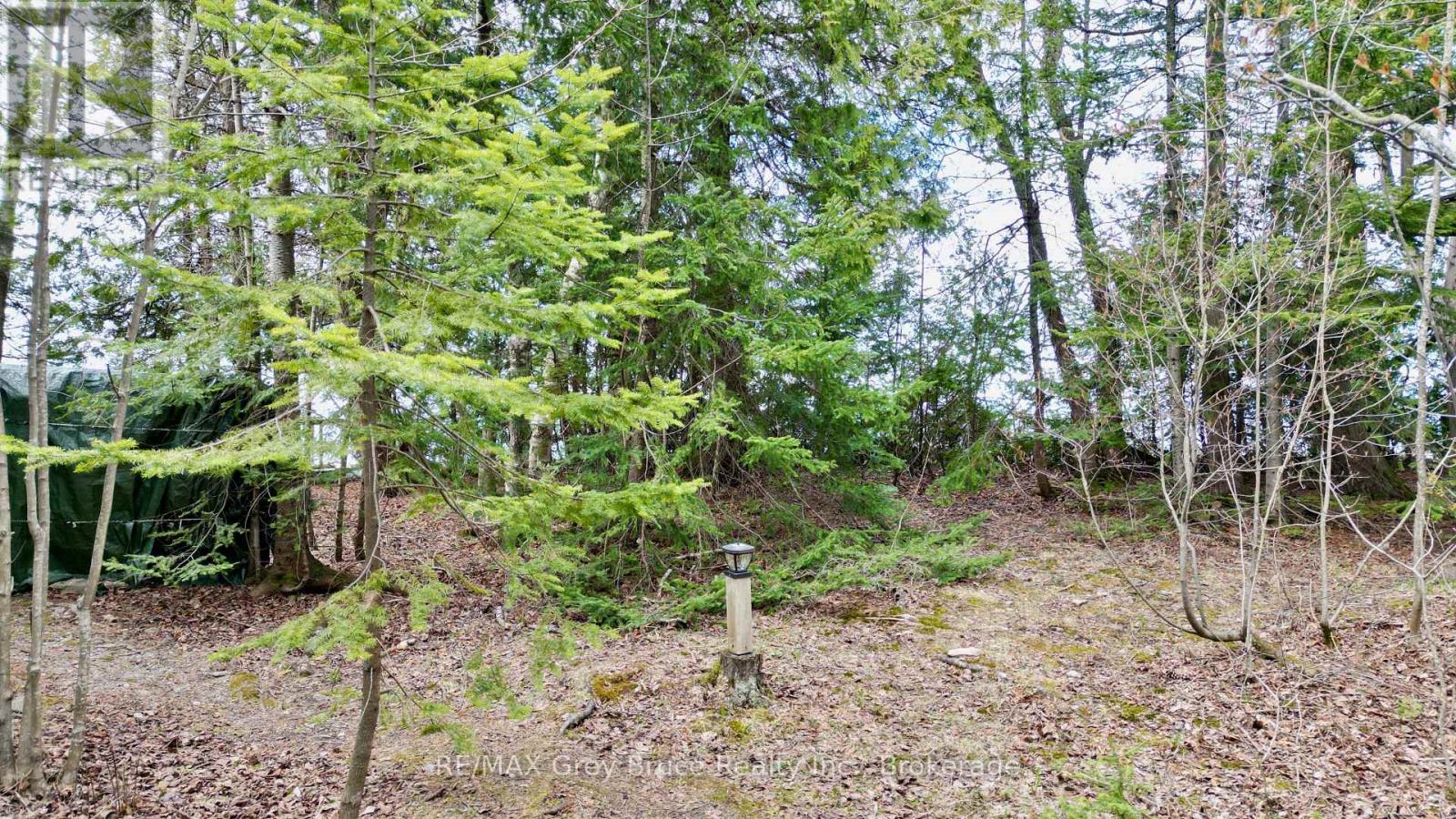 287 Rush Cove Road, Northern Bruce Peninsula, Ontario  N0H 1W0 - Photo 12 - X13114326