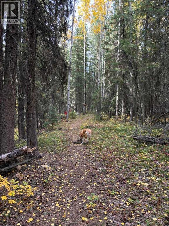 744044 Range Road 51, County Of, Alberta  T0H 3C0 - Photo 36 - A2290406