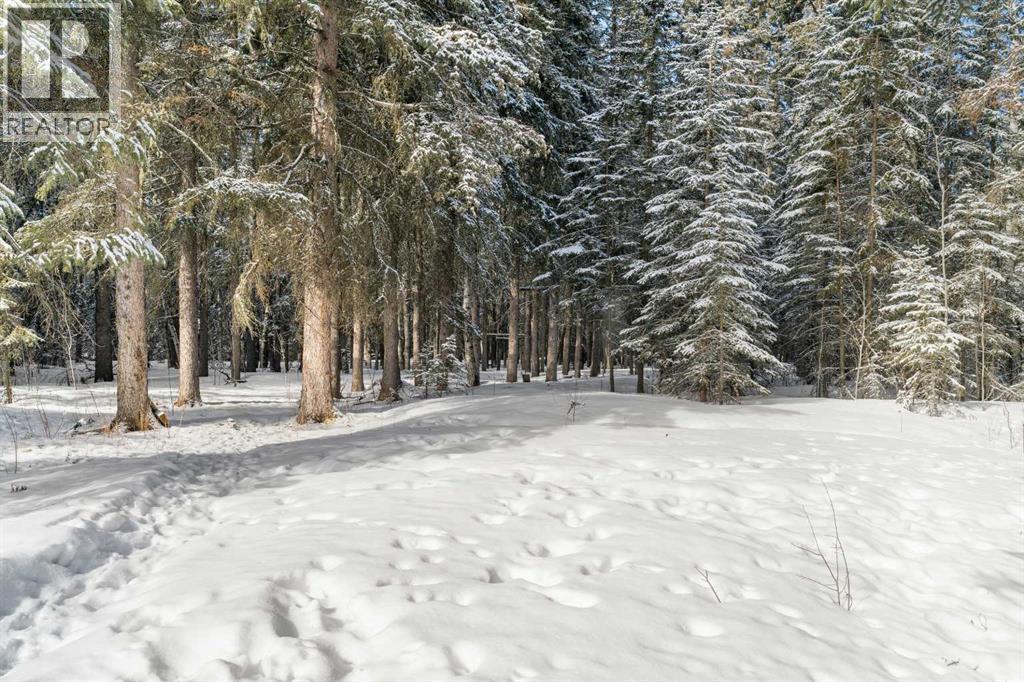 744044 Range Road 51, County Of, Alberta  T0H 3C0 - Photo 35 - A2290406